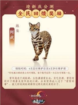 天龙八部私服课程